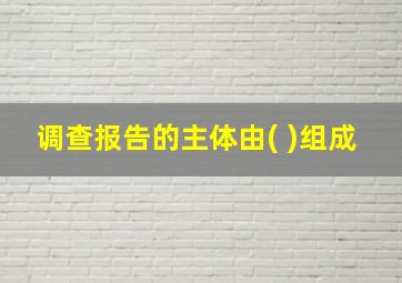 调查报告的主体由( )组成